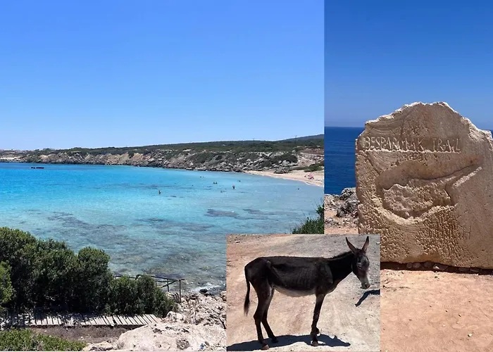 Exclusive Penthouse With Jacuzzi And Gas Barbecue *