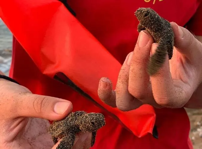 Exclusive Penthouse With Jacuzzi And Gas Barbecue Kerínia