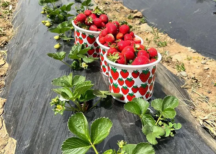 Exclusive Penthouse With Jacuzzi And Gas Barbecue Apartman Kerínia